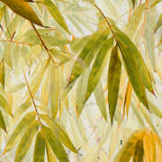 Bamboo Acid Yellow