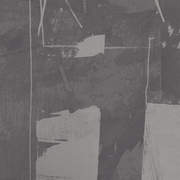 BRUL T2SS03