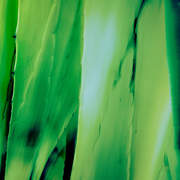 Aloe Bright Green
